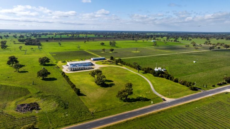 Vineyard For Sale: Your Complete Guide to Acquiring Premium Wine Properties