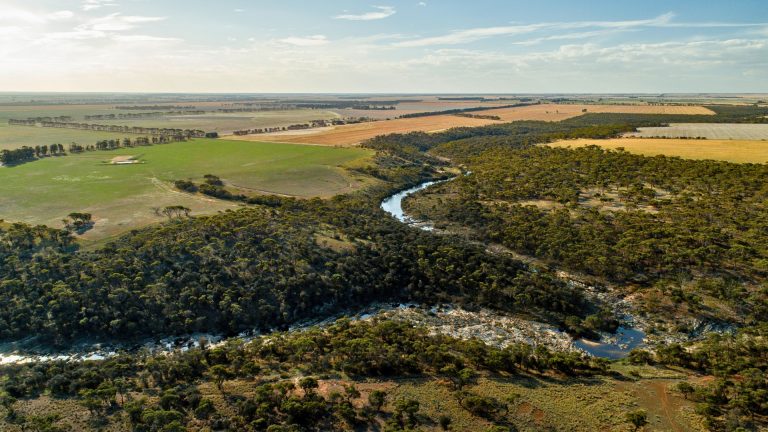 The Future of Australian Agriculture: Key Trends Every Overseas Investor Should Watch