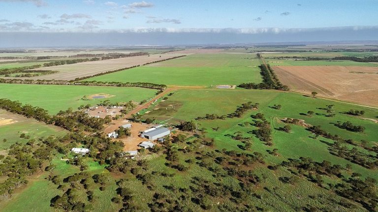 The Australian Beef Industry: A Premier Opportunity for International Capital