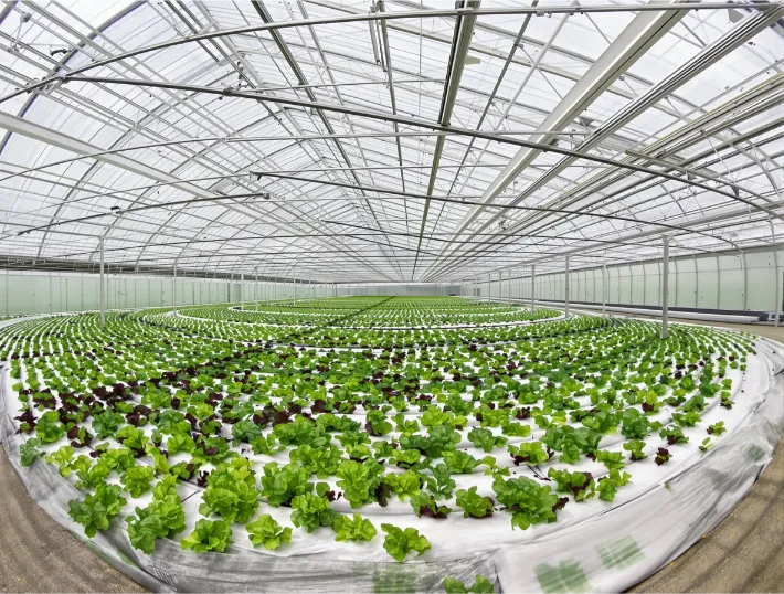 Horticulture Properties For Sale