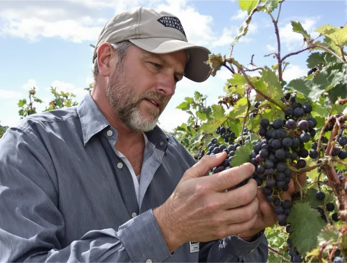 Viticulture Properties For Sale