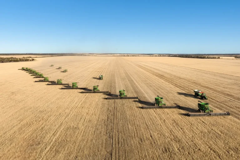 Professional Guide to Techniques for Appraising Dairy Farming Assets in Queensland