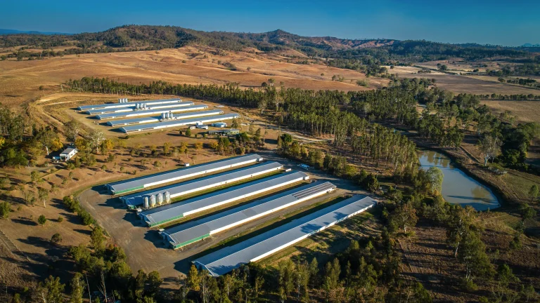 Buy Farm Tasmania: Your Expert Guide to Acquiring Agricultural Property