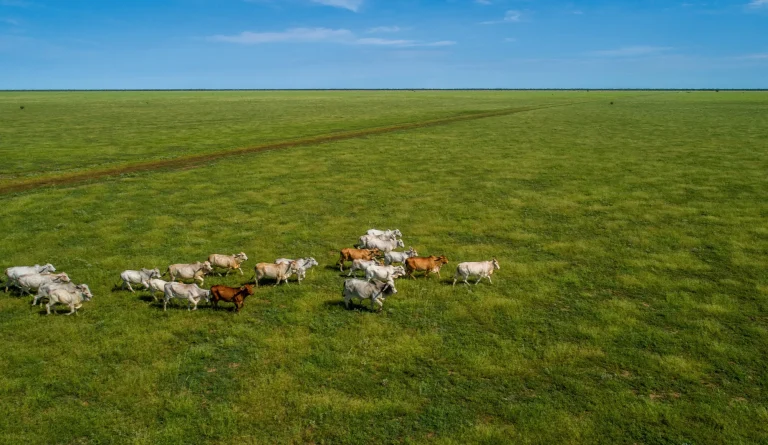 Evaluating Market Trends in Irrigation-Based Farming Investments