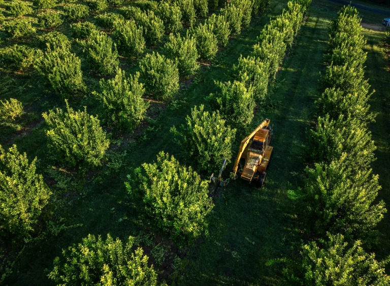Calculating Returns on Investment in Livestock Farming Properties: Complete Financial Guide