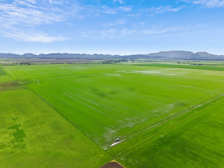 Farm Sale SA: Your Comprehensive Guide to South Australian Agricultural Property Transactions
