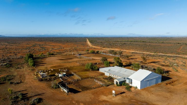 Finding the Perfect Chicken Farm for Sale: Your Investment Guide