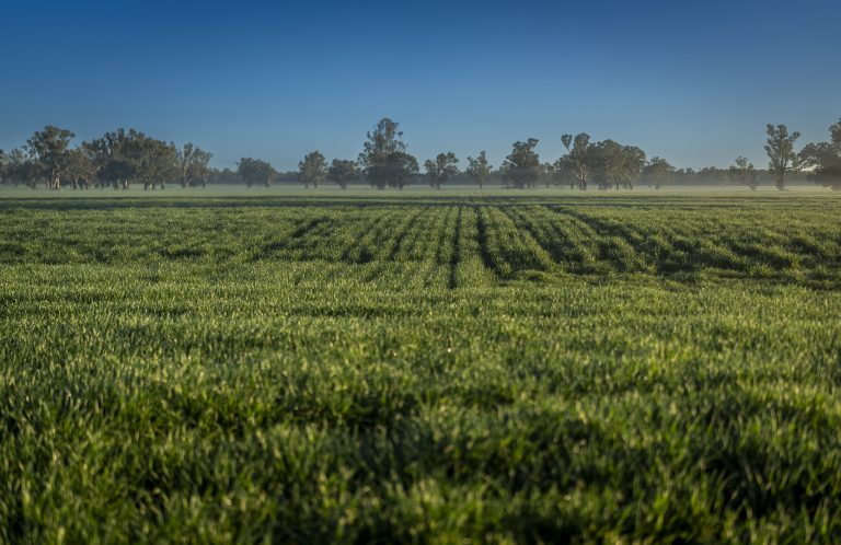 Farm Sales SA: Your Comprehensive Guide to Selling Agricultural Property in South Australia