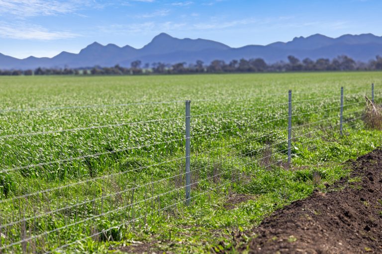 Rural Real Estate Victoria: Your Comprehensive Guide to Agricultural Property Investment