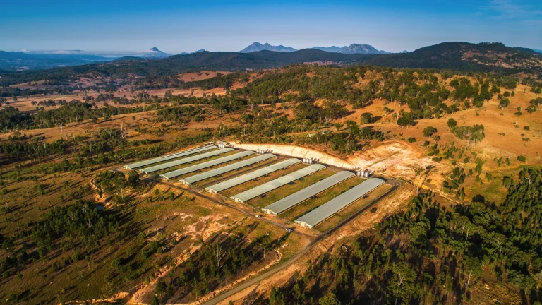 FIRB for Foreign Government Investors: The $0 Threshold Explained