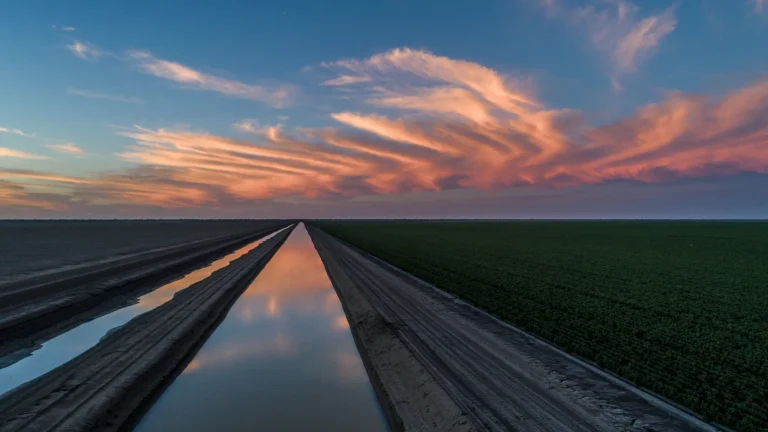 Registering Your Land with the ATO: A Mandatory Step for All Foreign Owners