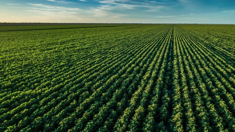 Rural Property for Sale Tasmania: Investment Opportunities in Australia’s Island State