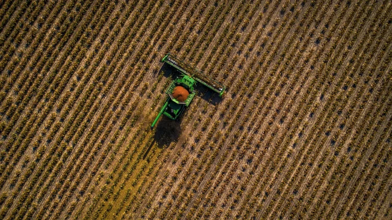 Unlocking Value: How Australian AgTech is Driving Returns for Foreign Investors