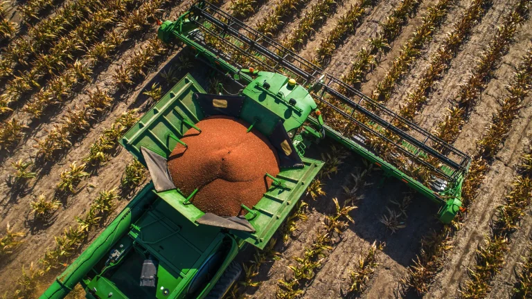 Factors Influencing the Value of Irrigation-Based Agricultural Land: Complete Analysis