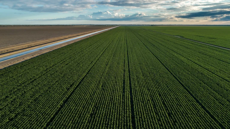 Tax Considerations in the Sale of Livestock Farming Properties in Queensland: Complete Guide