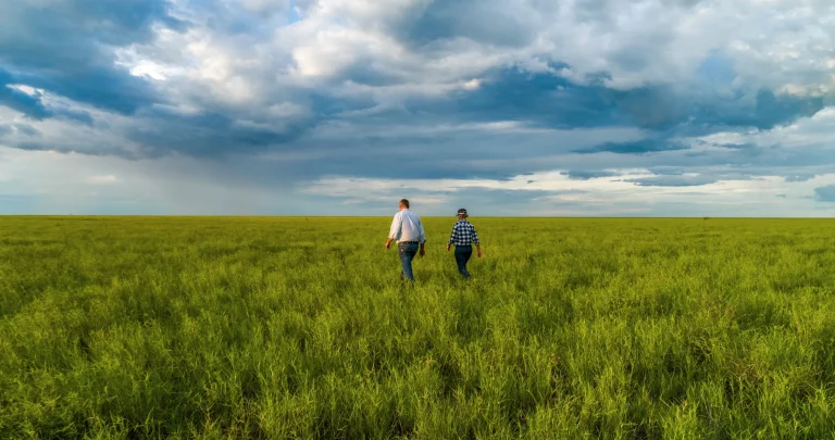 Understanding Market Dynamics: Analysis of Rural Land Price Trends in the Irrigation-Based Agriculture Market