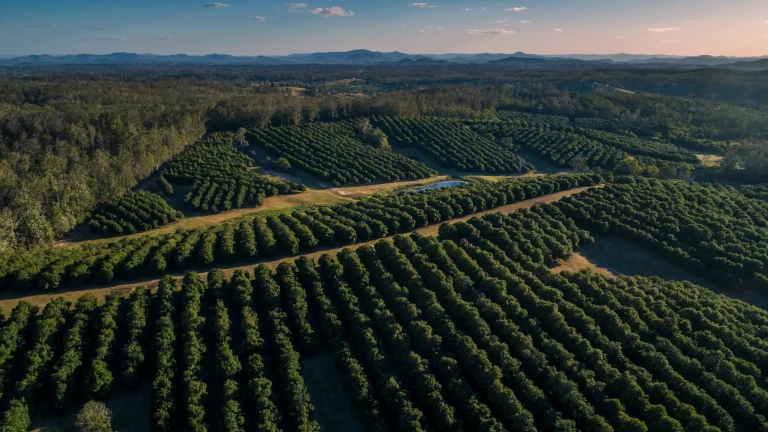 Farms for Sale WA: Your Gateway to Agricultural Investment Opportunities