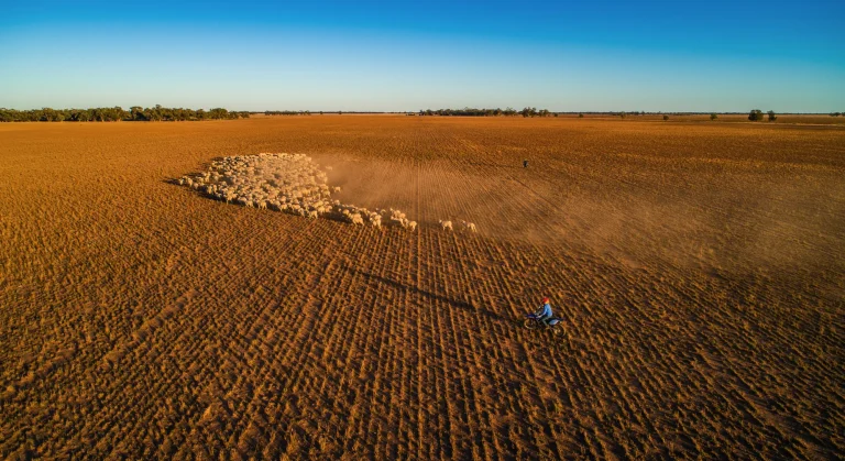 How to Effectively Advertise Your Property in the Agricultural Sector