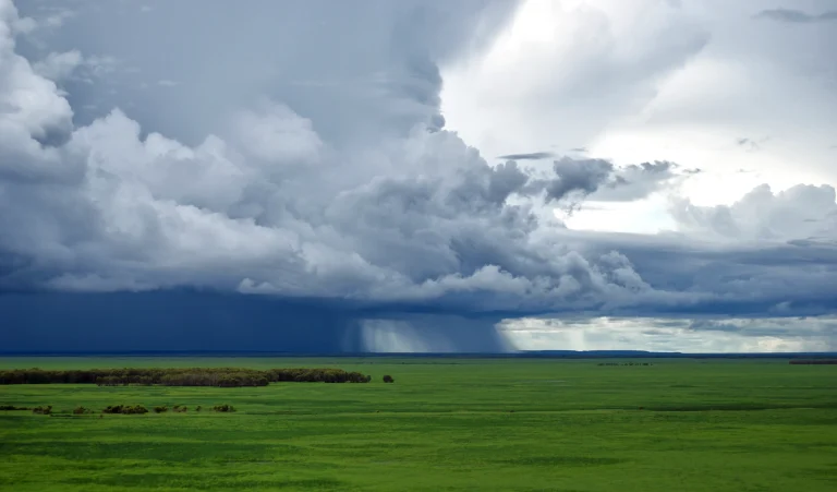 Understanding Zoning Laws in Crop Farming Investments in Australia: Complete Legal Guide