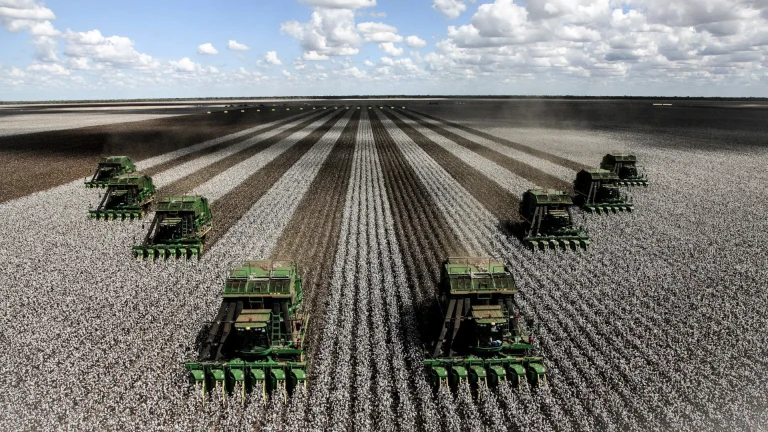 Factors Influencing the Value of Crop Farming Properties in Queensland