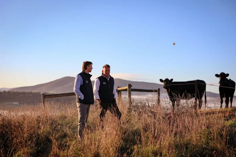 Assessing Investment Opportunities in Queensland’s Rural Sector: A Strategic Guide to Agricultural Property Investment