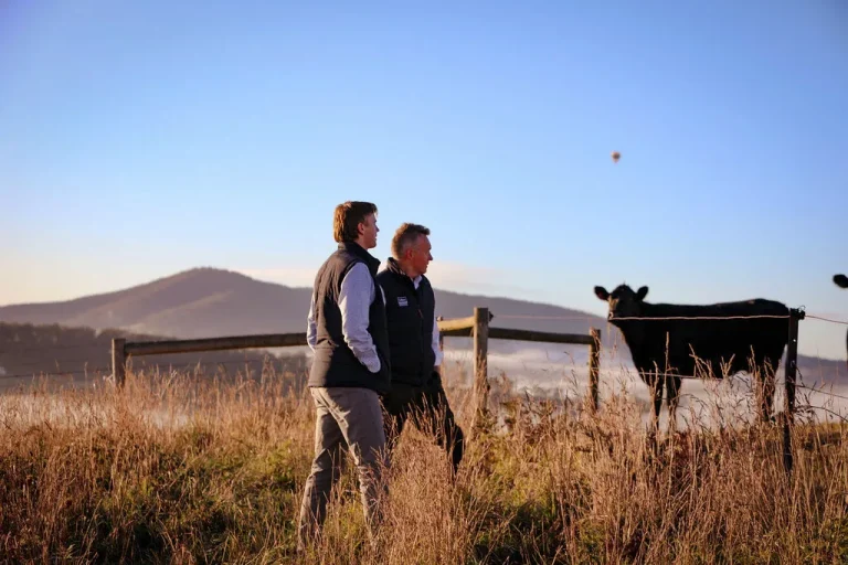 Professional Guide to Methods for Appraising Crop Farming Infrastructure in Queensland