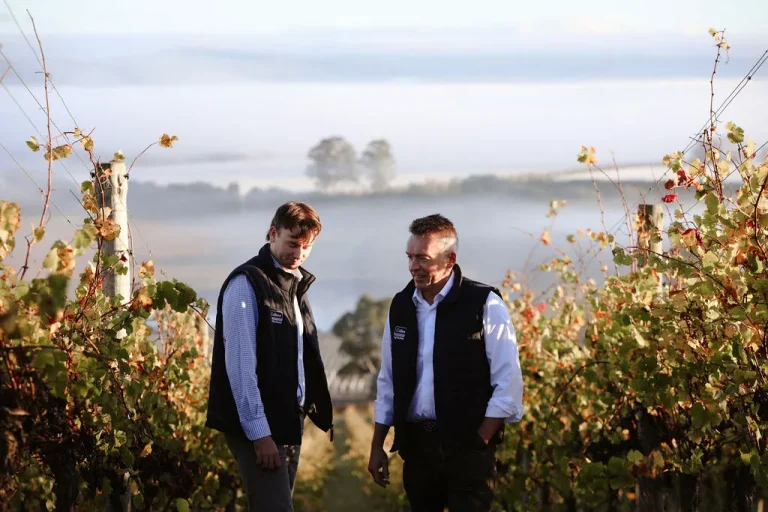 Farms for Sale QLD: Your Complete Guide to Queensland Agricultural Property