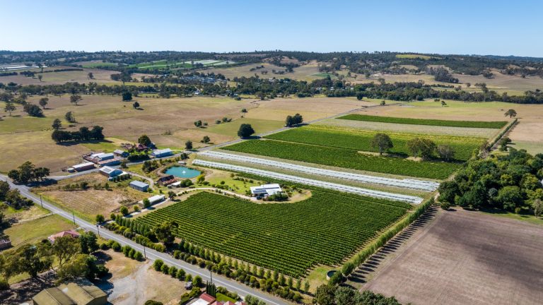 Your Complete Guide to Farms for Sale Darling Downs: Investment Opportunities Await