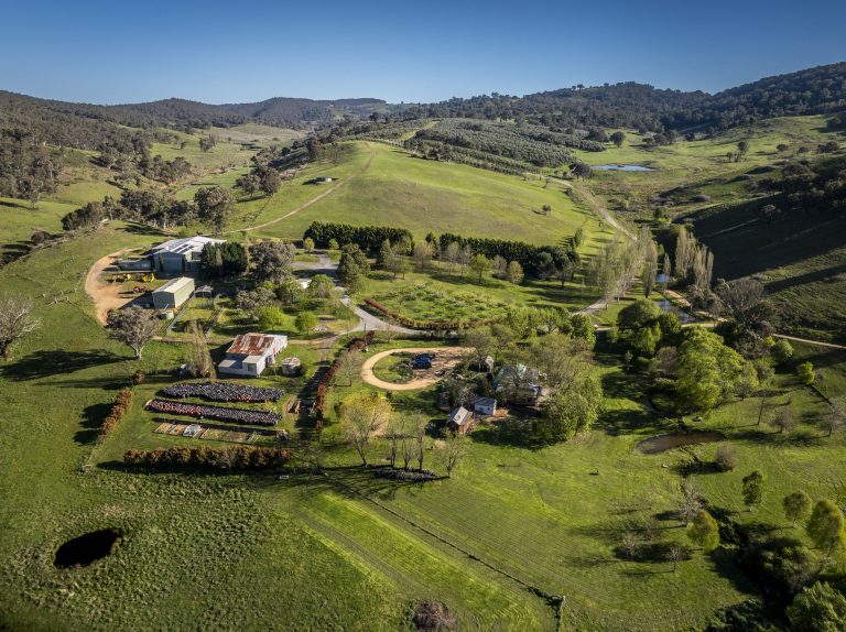 Building Wealth Through Agricultural Investment: Your Complete Guide to Farmland Opportunities