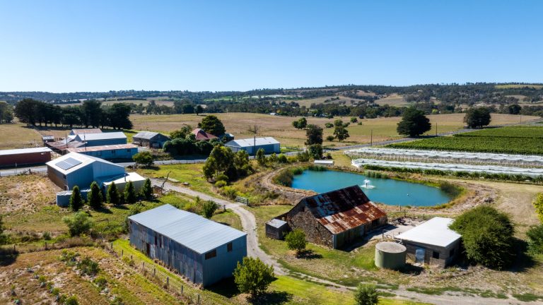 Understanding Cattle Stations Australia: Your Guide to Pastoral Investment Opportunities