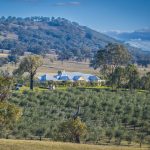 Rylstone Olive Press | Rare Opportunity to Purchase a Highly Acclaimed EVOO Estate with Grove, Processing Plant and Cellar Door