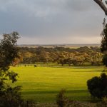 Barn Hill, a Ready-to-Run Grazing Property with Expansion Potential Agribusiness