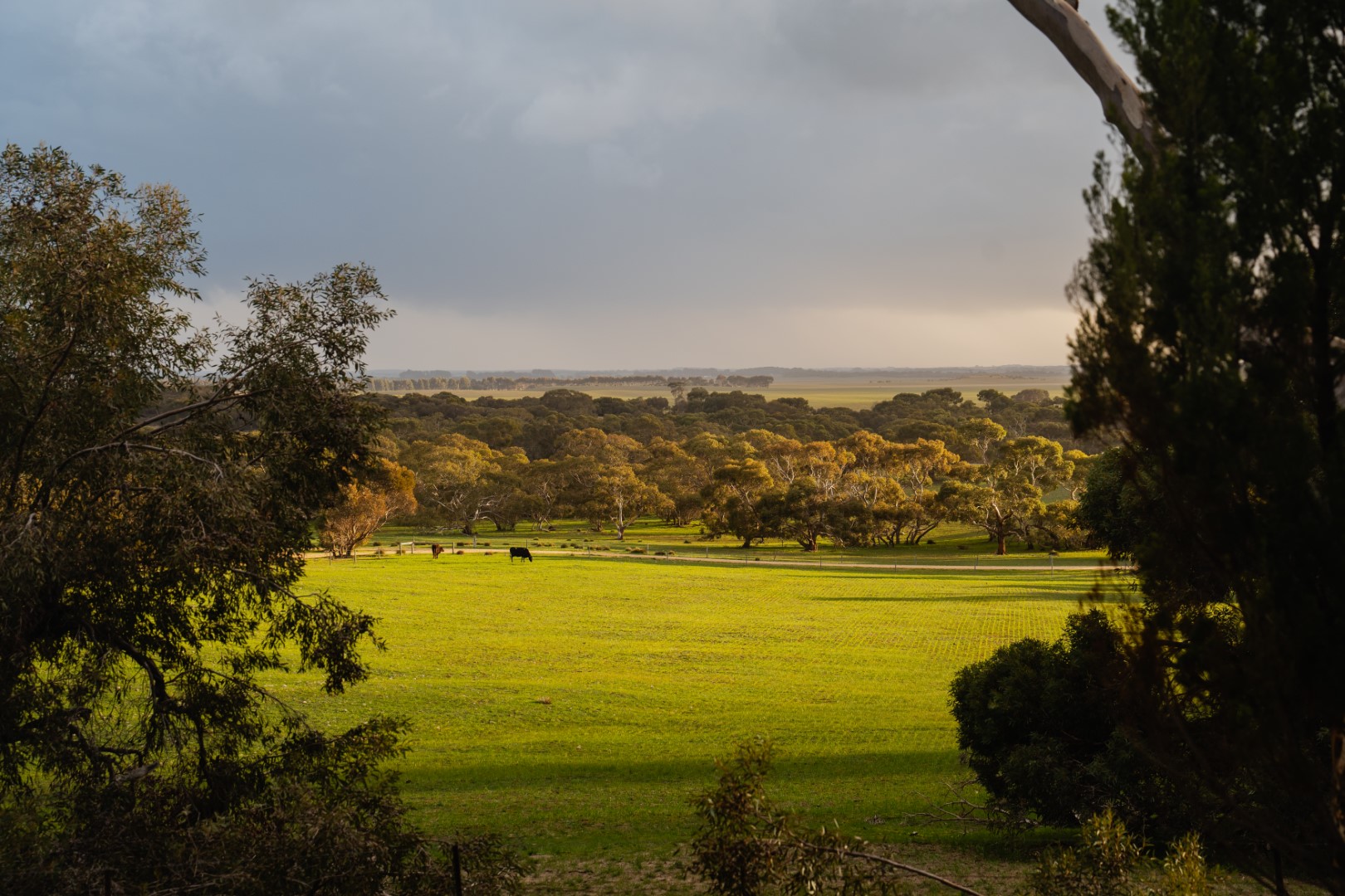 Barn Hill, a Ready-to-Run Grazing Property with Expansion Potential Agribusiness