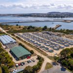 ABTAS Marketing - Abalone and Fish Farm – a unique Tasmanian aquaculture enterprise and development opportunity