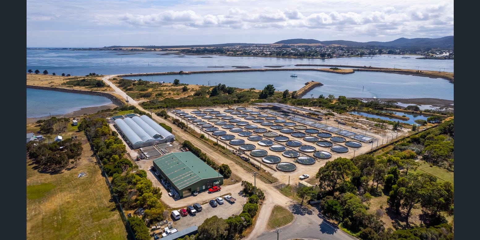 ABTAS Marketing - Abalone and Fish Farm – a unique Tasmanian aquaculture enterprise and development opportunity