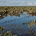 Ella Vale Station, productive Gulf Country grazing land
