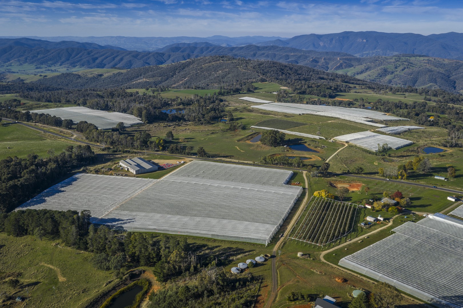 Batlow Fruit Company and Ausfarm Fresh, a Vertically Integrated Apple Enterprise