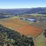 Glenhope Vineyard, a Premium cool climate vineyard with outstanding lifestyle and tourism development potential