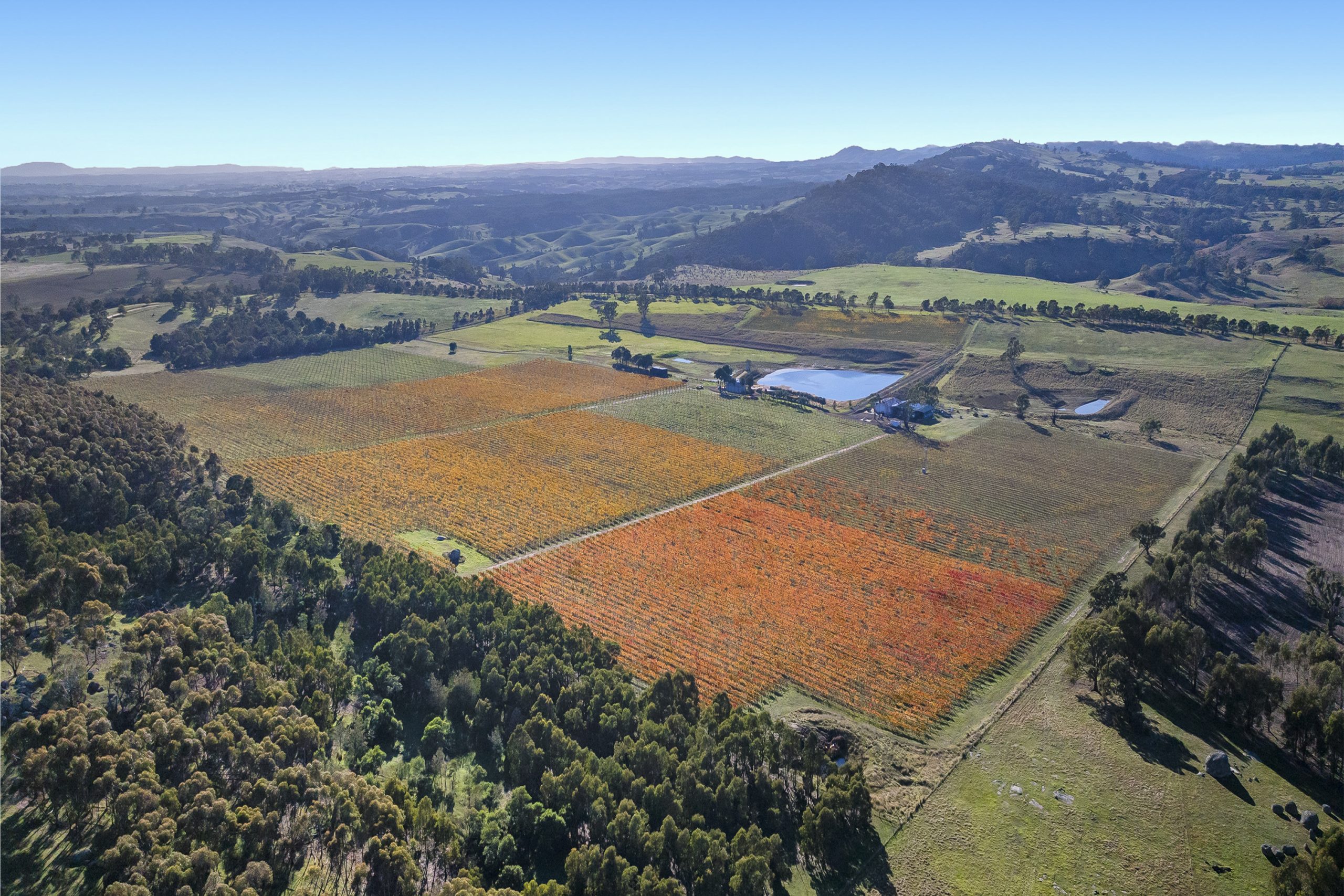 Glenhope Vineyard, a Premium cool climate vineyard with outstanding lifestyle and tourism development potential
