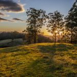 Significant & Versatile Landholding in the Tweed Valley, Boormans Rd