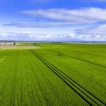 Lee Road Irrigation Conversion Property with Significant Water and Power Infrastructure presented by Colliers Agribusiness