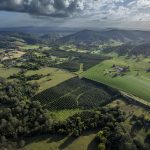 Colliers Agribusiness presents High-Yielding Irrigated Macadamia Orchard